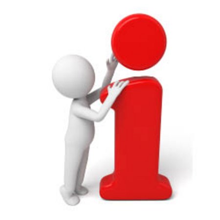 Sonia Singhal, Fachbereich Sprachen